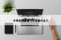 子母在线直播（子母是什么?）